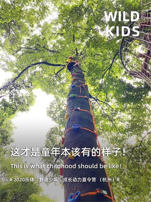 W020201009397596891180 W020201009397596891180